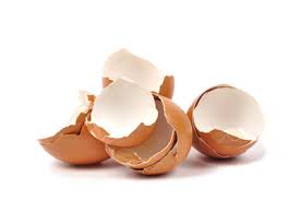 Post image for <center>Provincials Are Scarcely Permitted to Vend Egg-shells Beyond Their Boundaries</center>