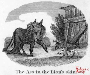 Ass in Lion's Skin